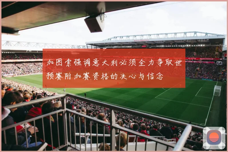 加图索强调意大利必须全力争取世预赛附加赛资格的决心与信念