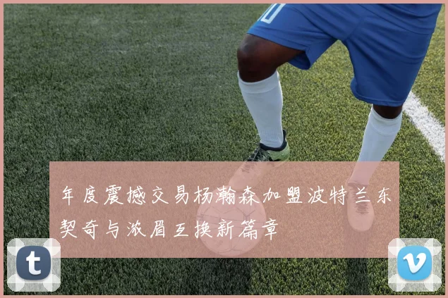 年度震撼交易杨瀚森加盟波特兰东契奇与浓眉互换新篇章