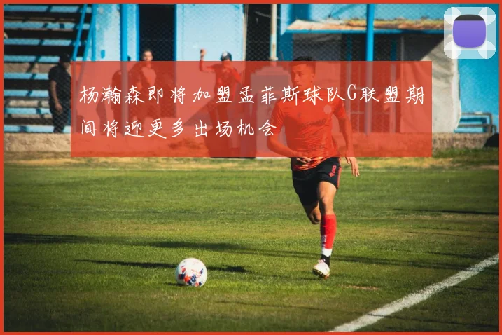 杨瀚森即将加盟孟菲斯球队G联盟期间将迎更多出场机会