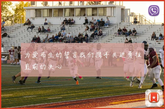 为爱而生的誓言我们携手共进勇往直前的决心