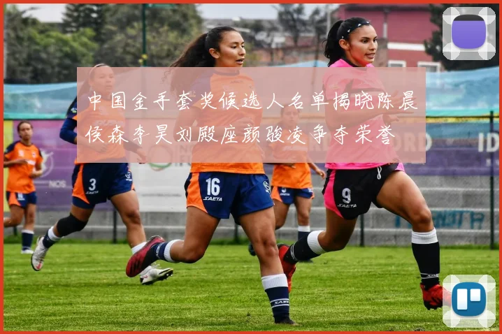 中国金手套奖候选人名单揭晓陈晨侯森李昊刘殿座颜骏凌争夺荣誉