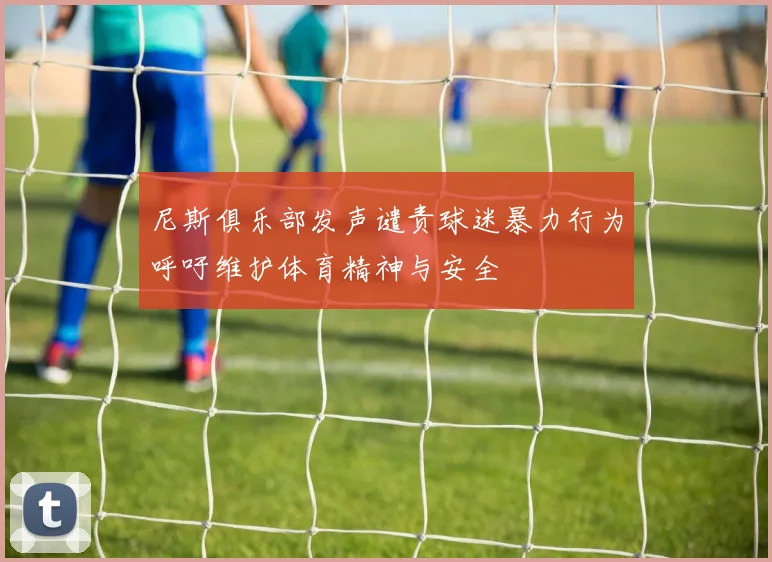 尼斯俱乐部发声谴责球迷暴力行为呼吁维护体育精神与安全